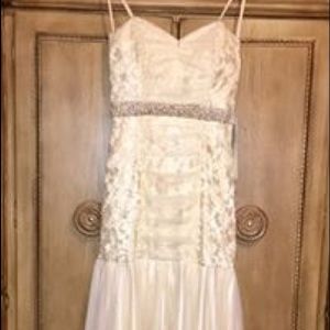 NWT ☆ eROBERTA ☆ Discontinued formal dress